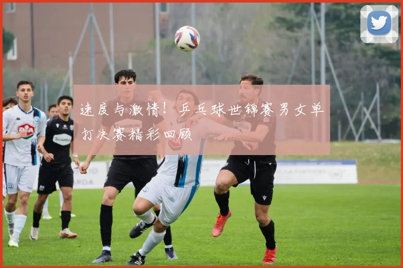 速度与激情！乒乓球世锦赛男女单打决赛精彩回顾