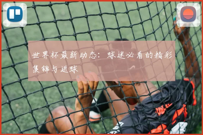 世界杯最新动态:球迷必看的精彩集锦与进球